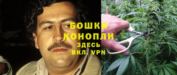 гашик Алзамай