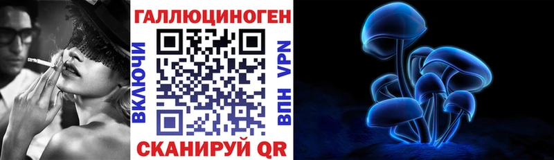 Купить закладки  Краснокаменск  Псилоцибиновые грибы GOLDEN TEACHER 